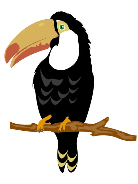 Fågel toucan på gren träd — Stock vektor