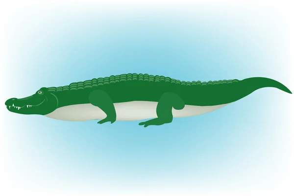 Illustration des Krokodils — Stockvektor