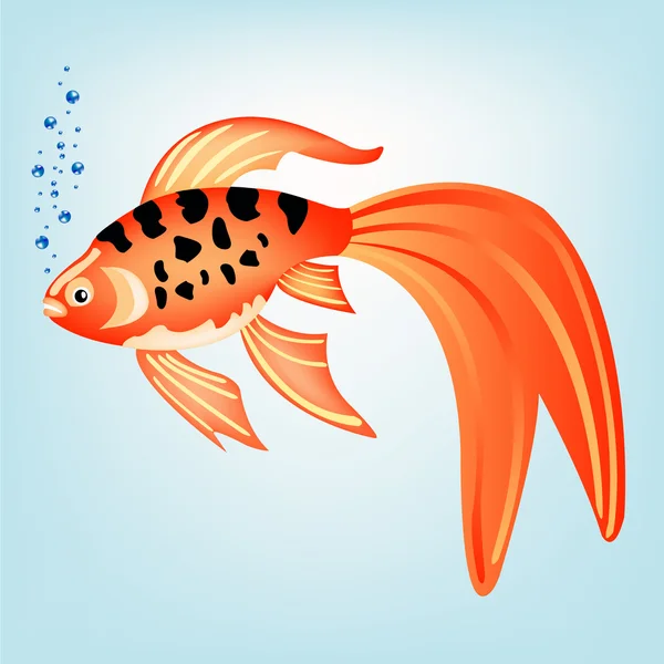 Belo peixe tropical — Vetor de Stock