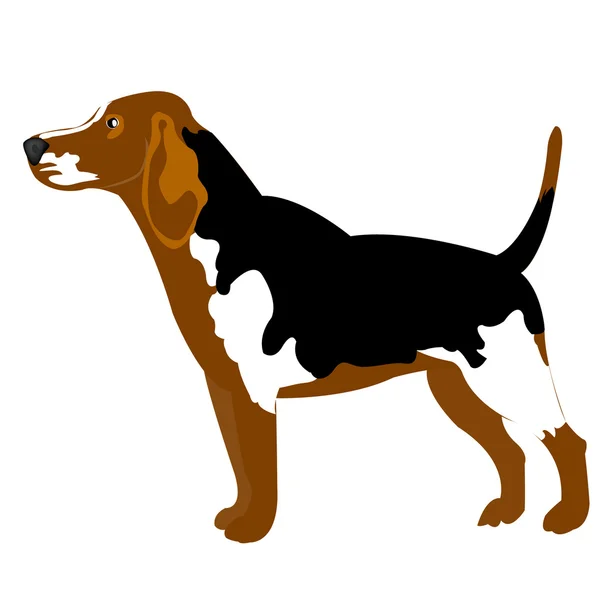 Ilustración del perro en blanco — Vector de stock