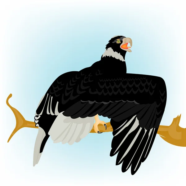 Aigle sur branche — Image vectorielle