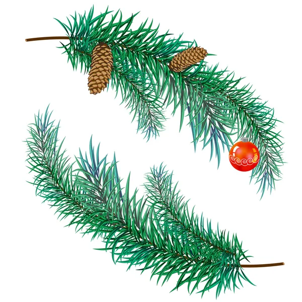 Pine gren med kottar och leksak — Stock vektor