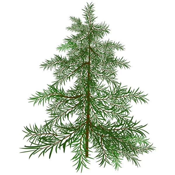 The green Christmas tree — Stock Vector