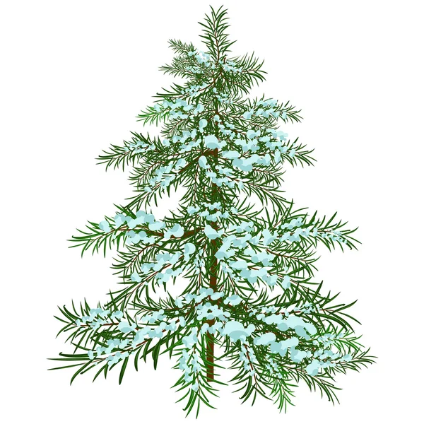 A árvore de Natal de Inverno . —  Vetores de Stock