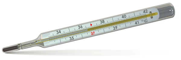 Das medizinische Thermometer — Stockvektor