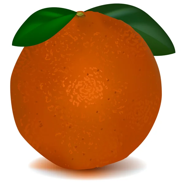 Naranja amarillo — Vector de stock