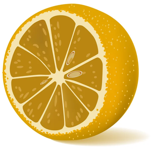 Succosa limone — Vettoriale Stock
