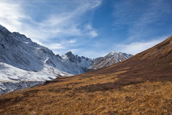 Sayan bergen alpina gräsmarker — Stockfoto