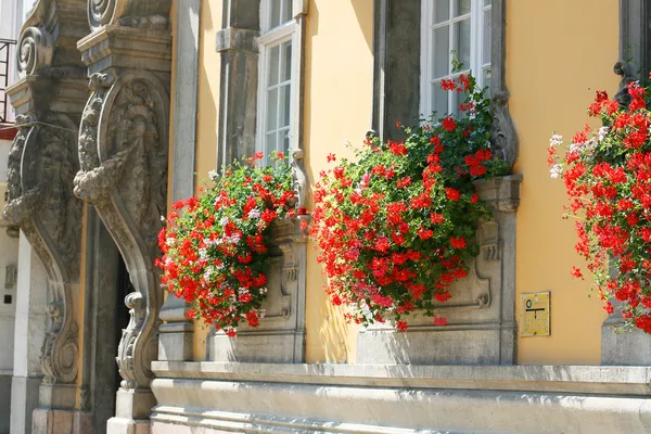 Fenêtres avec des fleurs à Budapest — Photo