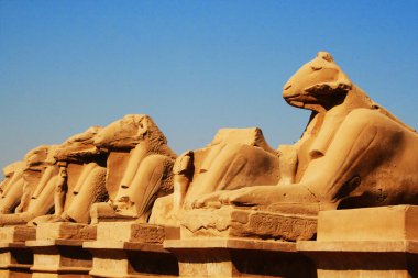 Ram headed Sphinxes, Karnak, Luxor clipart