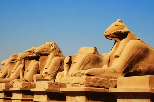 Esfinges de cabeza de carnero, Karnak, Luxor — Foto de Stock