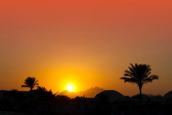 Zonsondergang in de woestijn — Stockfoto