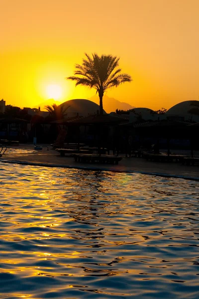 stock image Attractive sunset on egypt