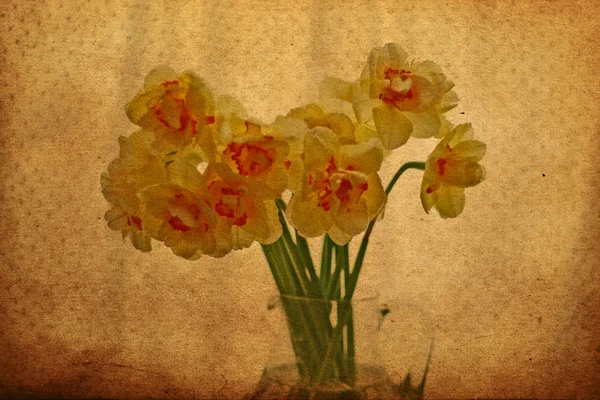 黄色背景的窗帘 虚线花瓶里水仙 — 图库照片