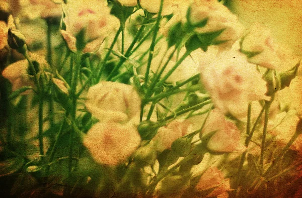 Вінтажна Листівка Рожевими Трояндами — стокове фото