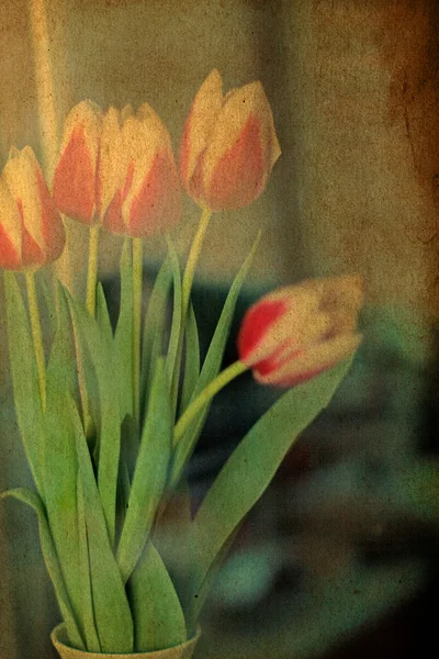 Весняні квіти, вінтажний гранжевий візерунок — стокове фото