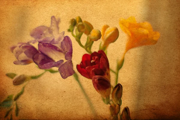 Ανοιξιάτικα λουλούδια, vintage grunge μοτίβο — Φωτογραφία Αρχείου