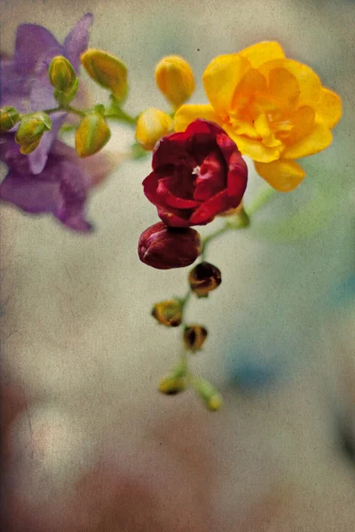 Spring flowers, vintage grunge pattern — Stock Photo, Image