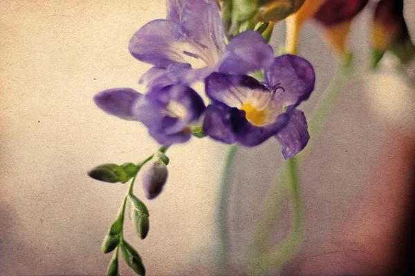 Ανοιξιάτικα λουλούδια, vintage grunge μοτίβο — Φωτογραφία Αρχείου