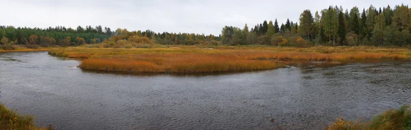 Panorama van een landschap met de rivier — Stockfoto