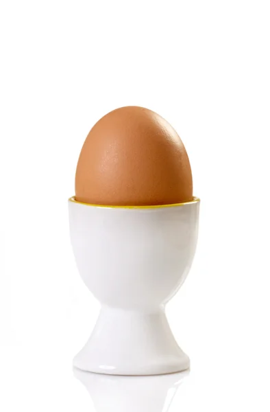 Barna tojás — Stock Fotó