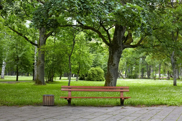 Old green park — Stock Photo, Image