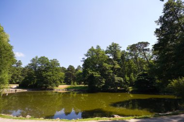 Yaz Park Lake