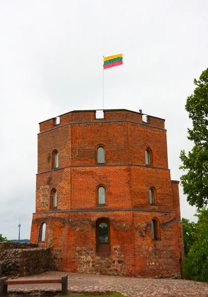 stock image Tower Gedeminas, Lithuania, Vilnius