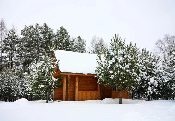 Çiftlik evinde kış — Stok fotoğraf