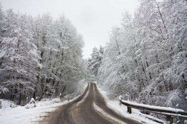 Kış ormanında yol