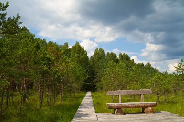 Lesní cesta, lavice — Stock fotografie