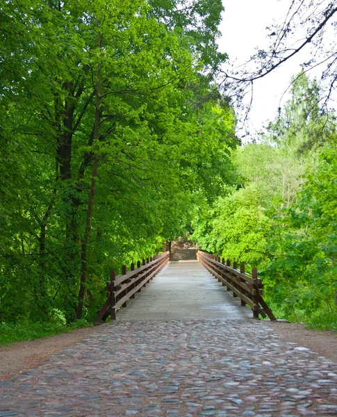 Γέφυρα στο πάρκο — Φωτογραφία Αρχείου