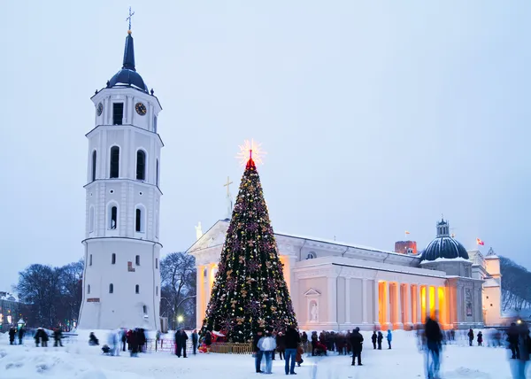 Weihnachtsbaum Vilnius — Stockfoto