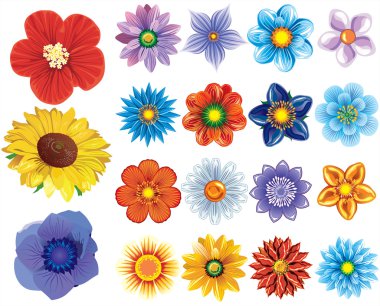 Set of flower graphics vector clipart