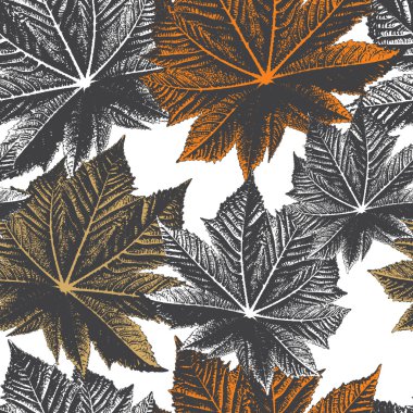 Leaf pattern vector clipart