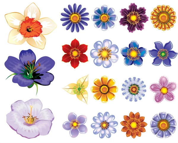 花のグラフィックスのベクトルのセット — ストックベクタ