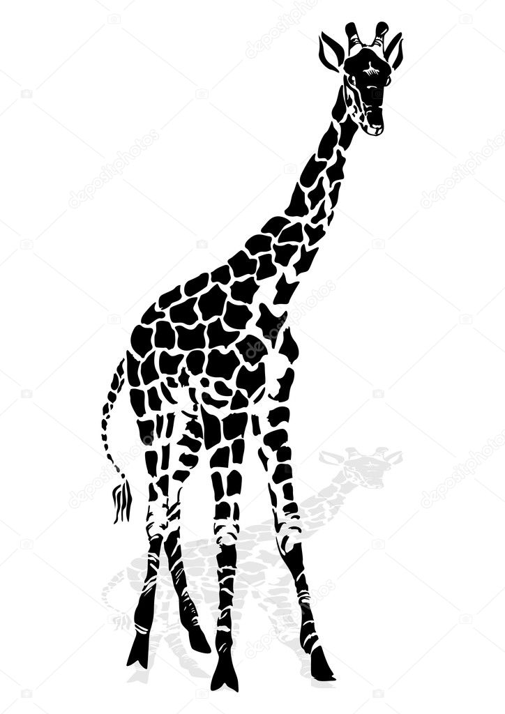 Vector illustration giraffe