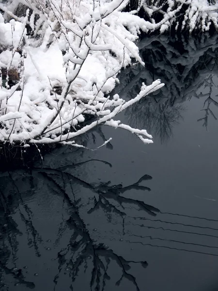 Lago da floresta. Inverno. Água escura . — Fotografia de Stock