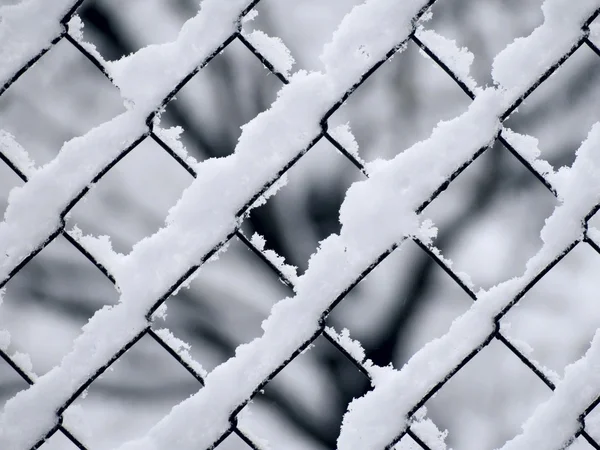 Chain-link. Winter. Abstract. — Stock Photo, Image