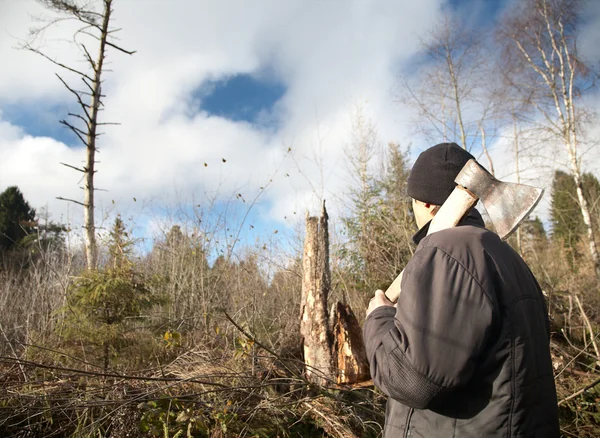 Uomo con un'ascia guarda il legno abbattuto — Foto Stock