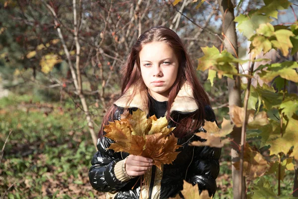 Подросток с кленовыми листьями — стоковое фото