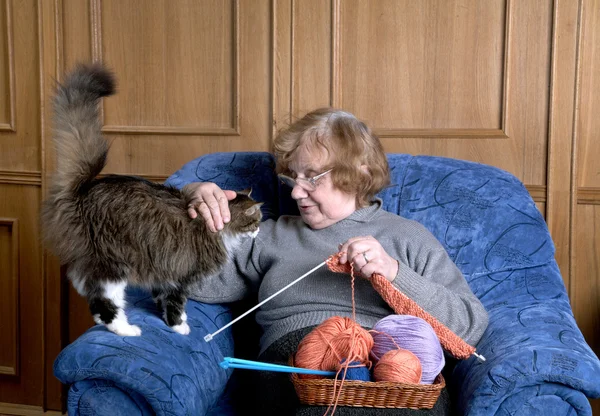 Stara kobieta głaskać kota — Zdjęcie stockowe