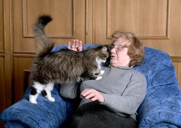De oude vrouw beroerte een kat — Stockfoto
