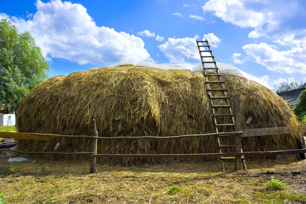 stock image Haystack