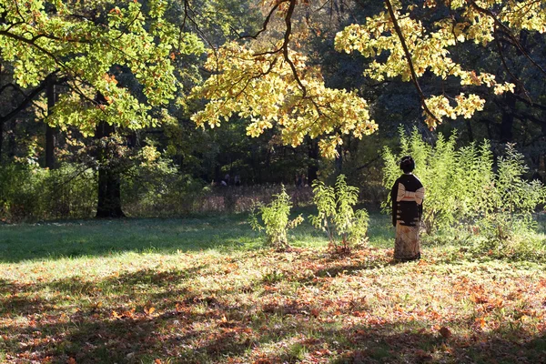 Uma senhora japonesa em uma floresta de outono — Fotografia de Stock