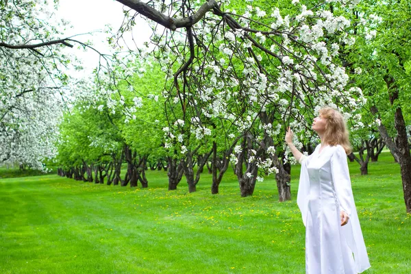 在白色连衣裙和白花的苹果树开展自评 金发女郎 — 图库照片
