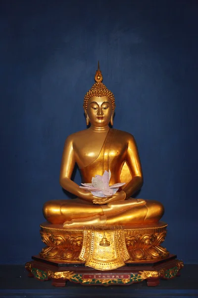 Buddha bild från thailand — Stockfoto