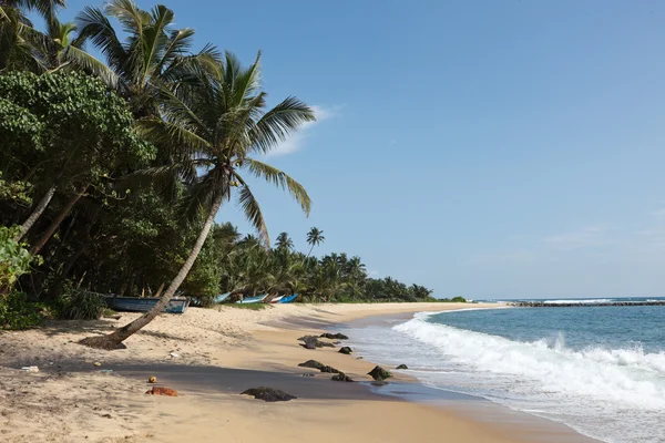Pastoral plaj. Sri lanka — Stok fotoğraf