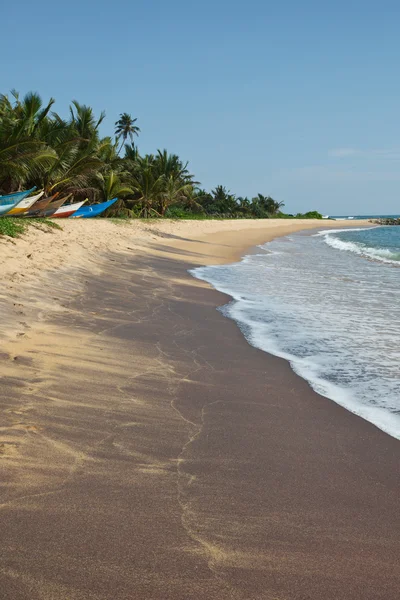 stock image Idyllic beach. Sri Lanka