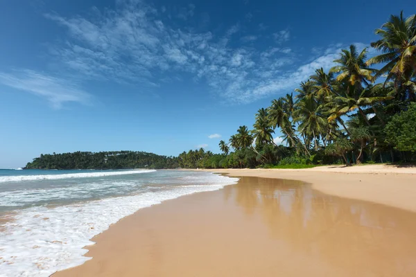 목가적인 해변입니다. 스리랑카 — 스톡 사진